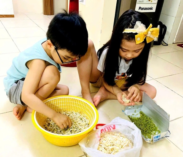 Bà nội trợ tự làm giá đỗ sạch tại nhà sau loạt vụ giá đỗ 'ngậm' hoá chất- Ảnh 1.