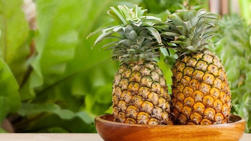 Vì sao ăn dứa hỗ trợ giảm cân hiệu quả?- Ảnh 1.