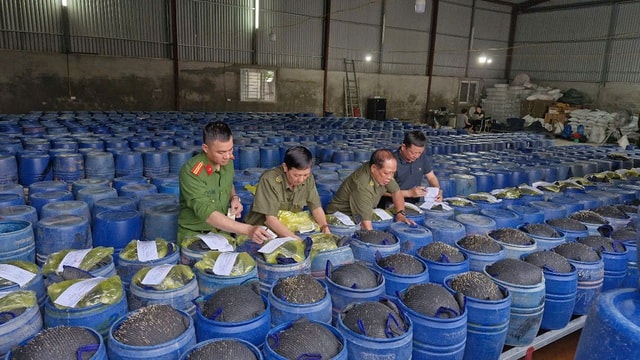 Nghệ An: Phát hiện gần 1 tấn thực phẩm 'bẩn', không rõ nguồn gốc xuất xứ- Ảnh 2.