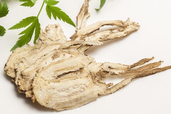 Bài thuốc chữa mụn trứng cá từ cây kim ngân - Ảnh 3.