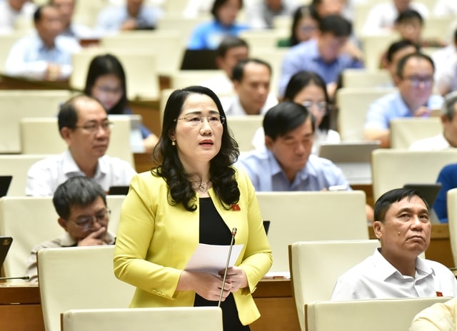 Đề nghị bổ sung tòa án chuyên biệt vào hệ thống tòa án- Ảnh 1.