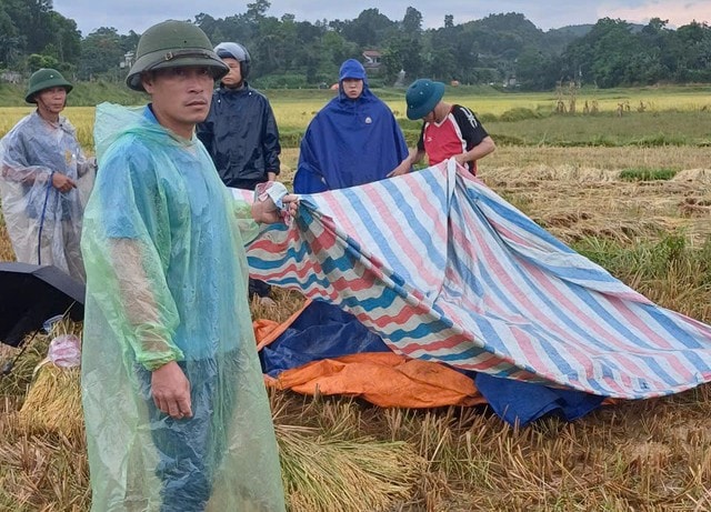 Thanh niên dùng điện thoại trên cánh đồng bị sét đánh tử vong- Ảnh 1.