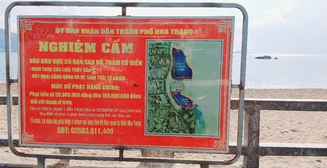 Vào khu vực có san hô ở biển Nha Trang để khai thác thủy sản bị xử phạt thế nào?- Ảnh 3.