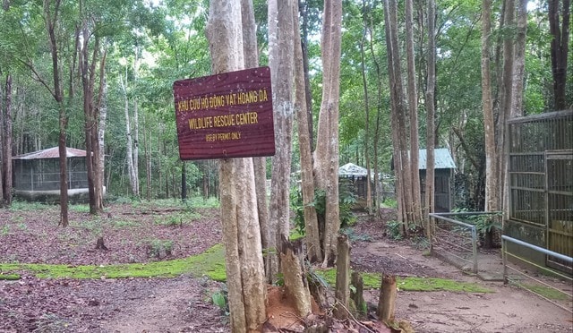 Nơi ‘nghỉ dưỡng’ của động vật quý hiếm ở Tây Nguyên có gì đặc biệt?- Ảnh 6.