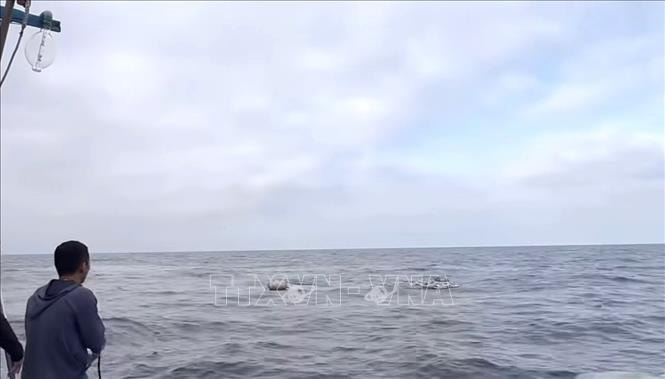 Cứu được toàn bộ thuyền viên vụ chìm tàu cá trên vùng biển Lý Sơn- Ảnh 2.