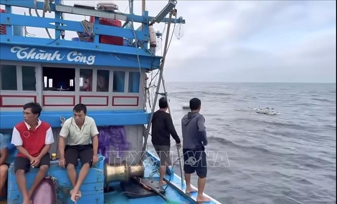 Cứu được toàn bộ thuyền viên vụ chìm tàu cá trên vùng biển Lý Sơn- Ảnh 1.