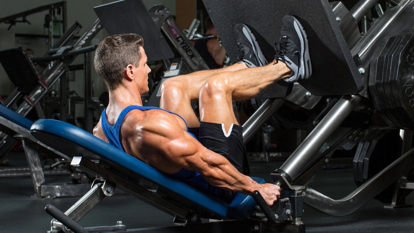 Leg Press Knee Pain: Causes, Solutions, and Prevention Tips – Iron Bull Strength - CAN