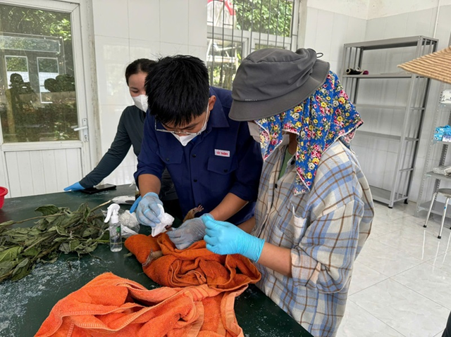Cứu hộ động vật hoang dã quý hiếm mang thương tật nặng- Ảnh 3.