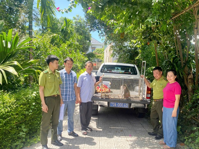 Cứu hộ động vật hoang dã quý hiếm mang thương tật nặng- Ảnh 1.