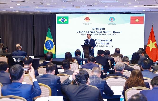 Thủ tướng Phạm Minh Chính dự Diễn đàn doanh nghiệp Việt Nam - Brazil- Ảnh 2.