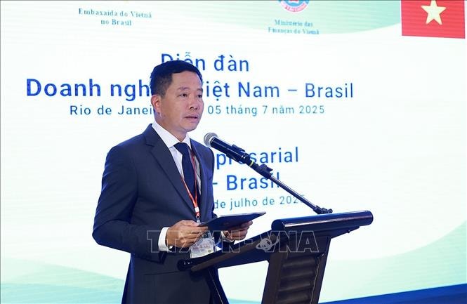 Thủ tướng Phạm Minh Chính dự Diễn đàn doanh nghiệp Việt Nam - Brazil- Ảnh 6.