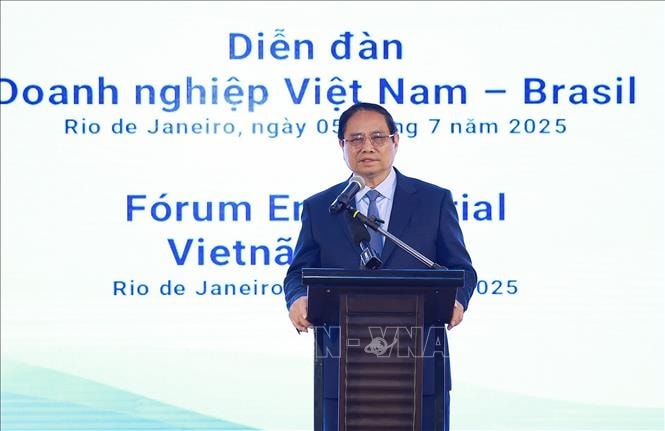 Thủ tướng Phạm Minh Chính dự Diễn đàn doanh nghiệp Việt Nam - Brazil- Ảnh 3.