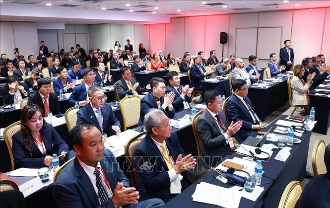 Thủ tướng Phạm Minh Chính dự Diễn đàn doanh nghiệp Việt Nam - Brazil- Ảnh 5.
