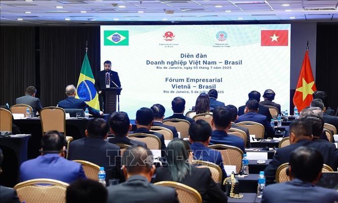 Thủ tướng Phạm Minh Chính dự Diễn đàn doanh nghiệp Việt Nam - Brazil- Ảnh 8.