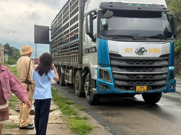 Phú Thọ: Tiêu hủy gần 200 con lợn nhiễm virus dịch tả lợn châu Phi- Ảnh 1.
