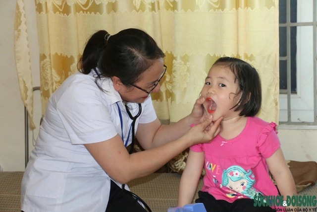 Từ 2026, nhân viên y tế trường học chưa qua đào tạo sẽ không được phép hành nghề- Ảnh 1.