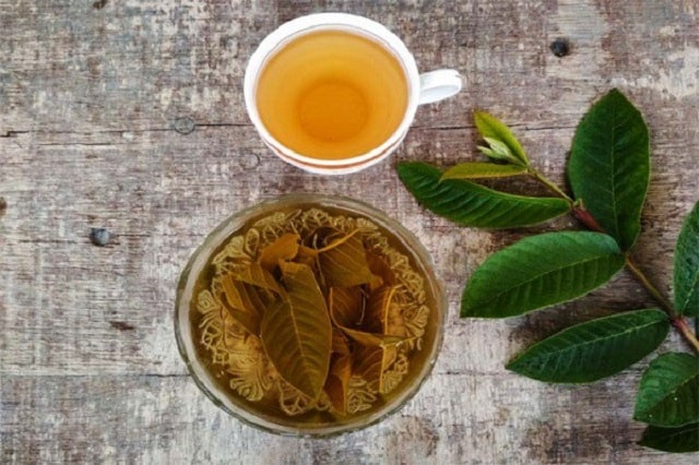 Uống nước lá ổi thay nước lọc hằng ngày gây hại như thế nào?- Ảnh 2.