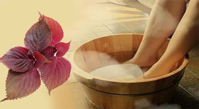 4 cách sử dụng nước lá tía tô tốt nhất cho sức khỏe- Ảnh 3.