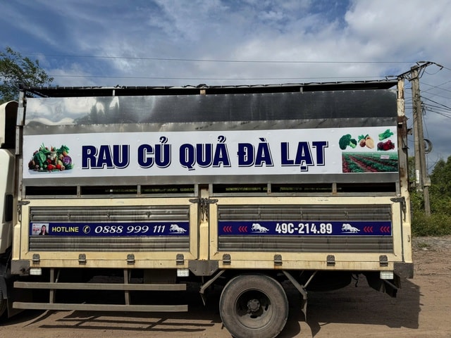 Phát hiện gần 100 con lợn bệnh trên xe tải chở rau củ quả- Ảnh 1. Phát hiện gần 100 con lợn bệnh trên xe tải chở rau củ quả- Ảnh 1.
