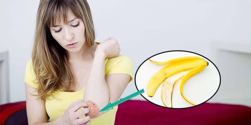 kham-pha-10-cong-dung-khong-ngo-tu-vo-chuoi-4_800x400