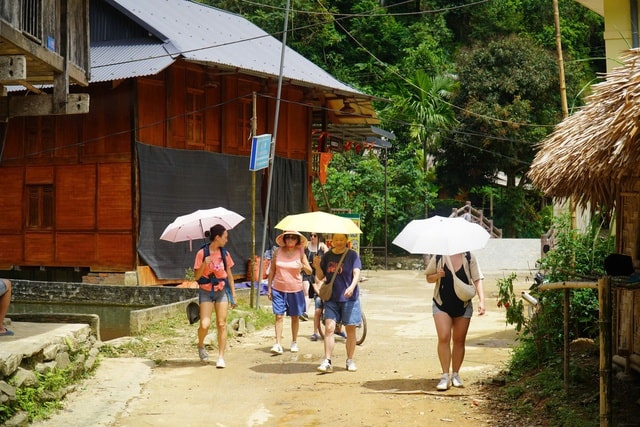 Cận cảnh hang Dơi đẹp lung linh giữa đại ngàn Pù Luông- Ảnh 1.