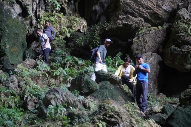 Cận cảnh hang Dơi đẹp lung linh giữa đại ngàn Pù Luông- Ảnh 6.