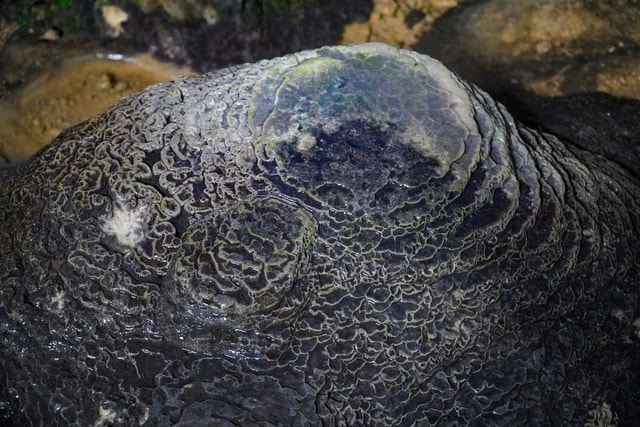 Cận cảnh hang Dơi đẹp lung linh giữa đại ngàn Pù Luông- Ảnh 5.