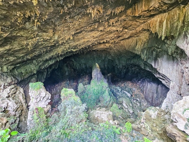 Cận cảnh hang Dơi đẹp lung linh giữa đại ngàn Pù Luông- Ảnh 4.