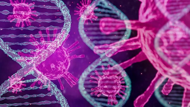 Phát hiện mới về virus bạch cầu và tiềm năng điều trị HIV- Ảnh 1.