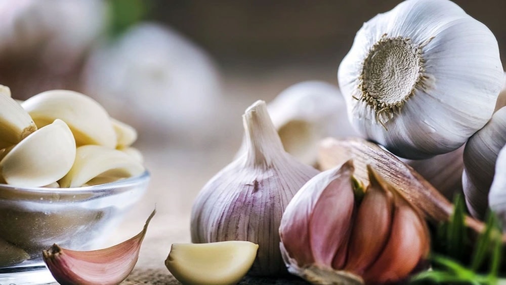 Tác dụng chữa bệnh của 7 loại thảo mộc phổ biến- Ảnh 2. Tác dụng chữa bệnh của 7 loại thảo mộc phổ biến- Ảnh 2.