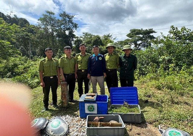 Tái thả 59 cá thể động vật quý hiếm về rừng Pù Hu- Ảnh 3. Tái thả 59 cá thể động vật quý hiếm về rừng Pù Hu- Ảnh 3.