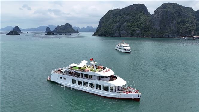 Tàu du lịch trên vịnh Hạ Long lắp đặt thiết bị thông tin liên lạc xong trước ngày 15/8- Ảnh 1.