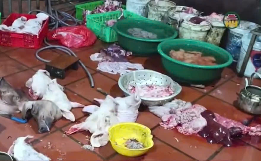 Mua lợn nhiễm dịch tả lợn châu Phi đem về mổ, bán kiếm lời- Ảnh 1.