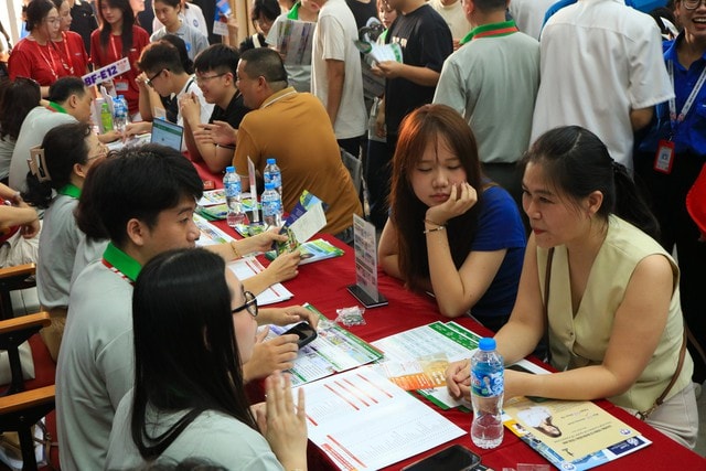 Thí sinh cần làm gì sau khi trúng tuyển đại học?- Ảnh 1.