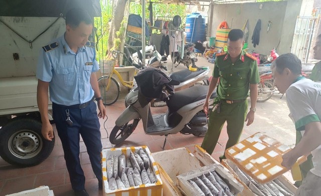 Thanh Hoá: Phát hiện hơn 1 tấn côn trùng, động vật bốc mùi hôi- Ảnh 1.