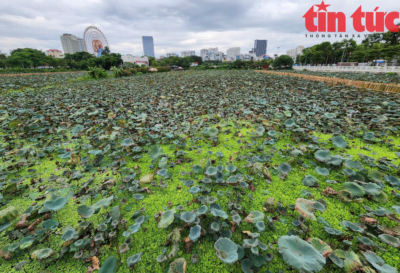 Cận cảnh đường ống khổng lồ dẫn nước hồ Tây ‘hồi sinh’ sông Tô Lịch- Ảnh 13.