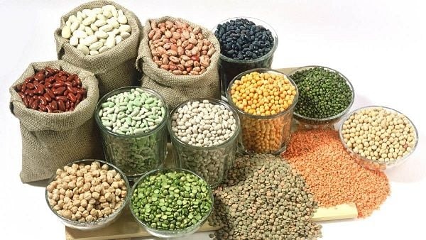 Dưỡng não bằng ‘thuốc bổ’ từ tự nhiên- Ảnh 2.