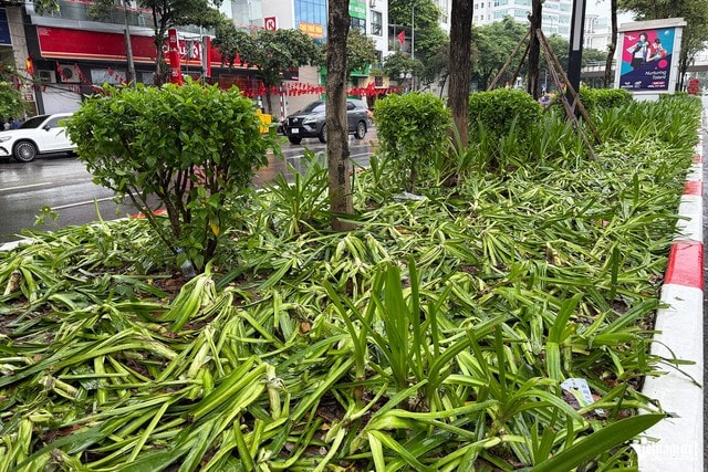Tuyệt đối không làm những điều này khi đi xem diễu binh, diễu hành nếu không muốn mất tiền, phạt tù- Ảnh 2.