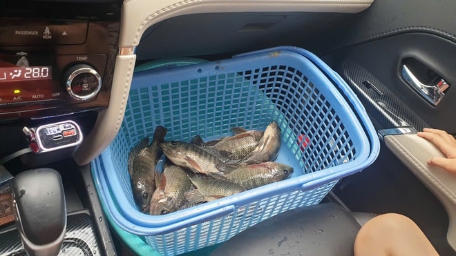 Hà Nội ngập sâu, người dân ra giữa đường đạp vịt, bắt cá- Ảnh 3.