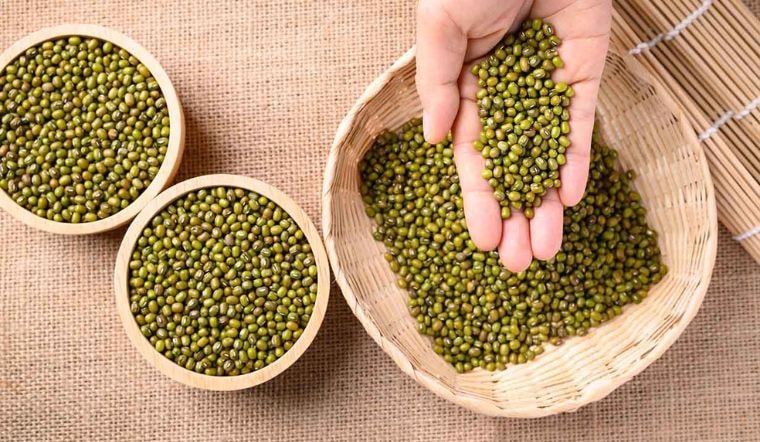 mach-ban-cach-chon-mua-dau-xanh-ngon-beo-bui-khong-bi-mot-202309141045475052