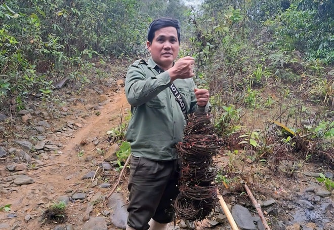 Tăng cường tuần tra rừng, gỡ bẫy để bảo vệ động vật quý hiếm- Ảnh 4.