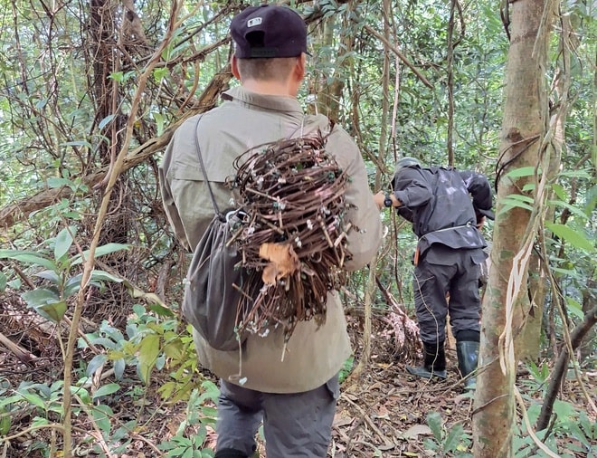 Tăng cường tuần tra rừng, gỡ bẫy để bảo vệ động vật quý hiếm- Ảnh 3.