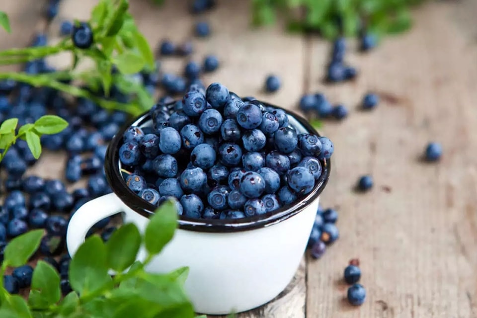 7 thực phẩm màu tím dưỡng thận, tăng sinh lực- Ảnh 1. 7 thực phẩm màu tím dưỡng thận, tăng sinh lực- Ảnh 1.