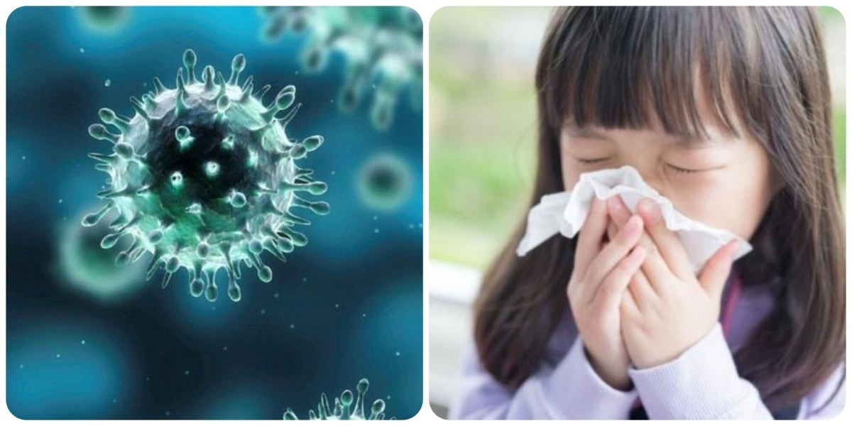 Vì sao cúm dễ có nguy cơ tăng khi trẻ quay lại trường học?- Ảnh 1. Vì sao cúm dễ có nguy cơ tăng khi trẻ quay lại trường học?- Ảnh 1.