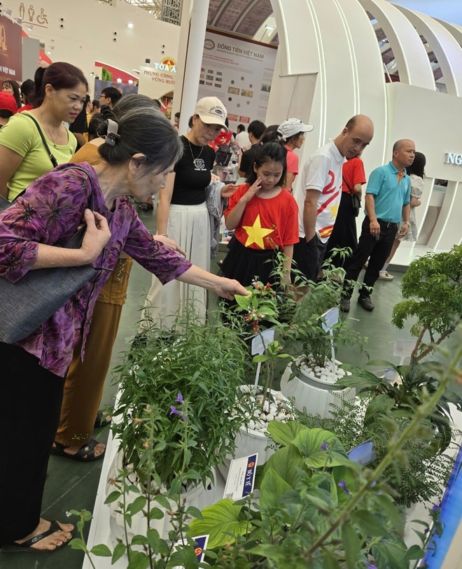 Gian Triển lãm Bộ Y tế thu hút hàng chục nghìn lượt khách thăm quan, trải nghiệm khám, tư vấn sức khoẻ- Ảnh 3.