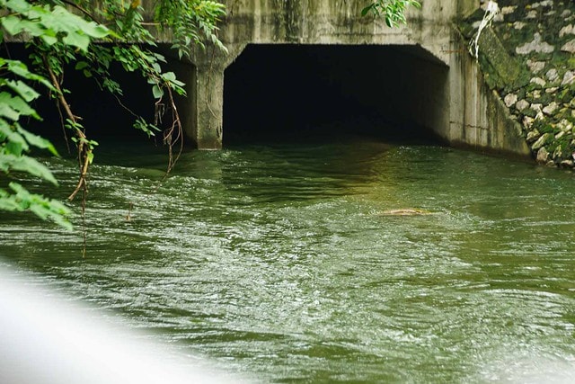 Sông Tô Lịch trong xanh chỉ là tạm thời?- Ảnh 2.
