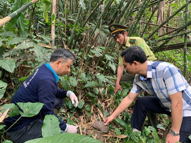 Thả 23 cá thể động vật quý hiếm về môi trường tự nhiên- Ảnh 2.