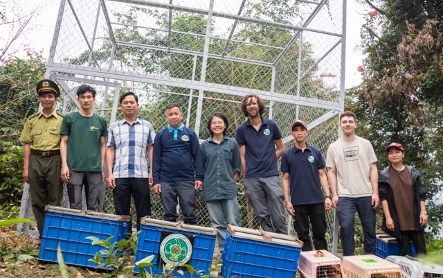 Thả 23 cá thể động vật quý hiếm về môi trường tự nhiên- Ảnh 6.