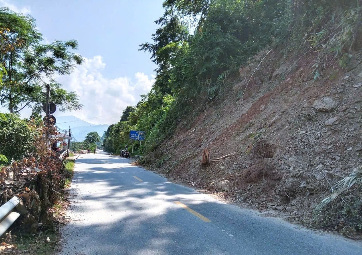 Vết nứt lớn trên đồi ở Nghệ An đe dọa Quốc lộ 7, dân được sơ tán khẩn cấp- Ảnh 3.