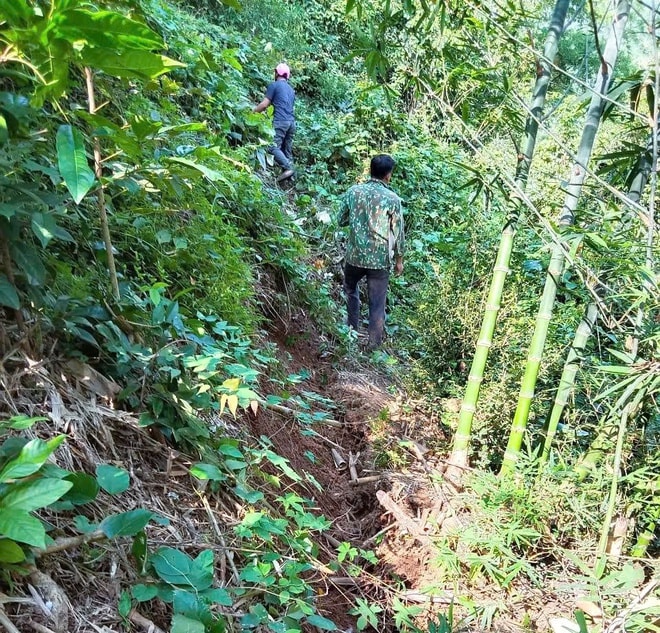 Vết nứt lớn trên đồi ở Nghệ An đe dọa Quốc lộ 7, dân được sơ tán khẩn cấp- Ảnh 1.